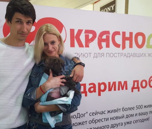 Фитиль
